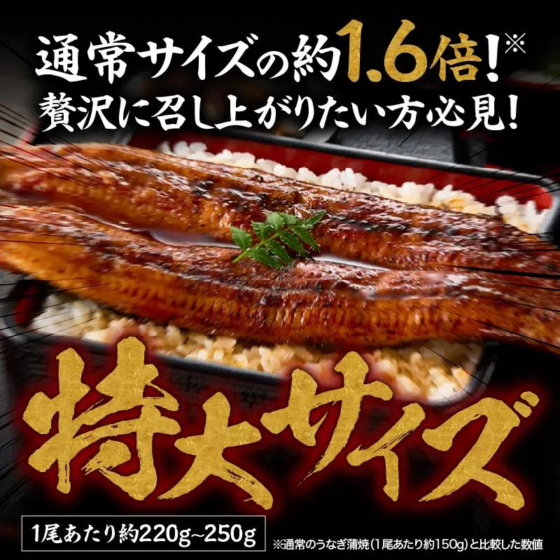  1749-1 【特大】九州産うなぎ 備長炭手焼 うなぎ の 蒲焼 4尾 計1,000g KN029-008 魚 鰻 惣菜 総菜