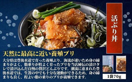 鮮度抜群！豊後水道 海鮮丼 5種 食べ比べ セット 各1食 | まぐろ ぶり たい さば あじ 津久見市