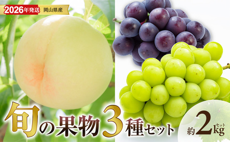 【 2026年発送 】岡山県産白桃 ロイヤル＆シャインマスカット＆ピオーネ 約2kgセット（令和8年6月中旬～8月上旬発送）【桃 シャインマスカット ピオーネ】