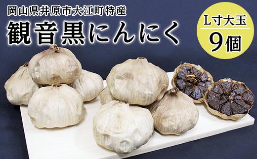 B-05観音黒にんにく(L寸大玉)9個