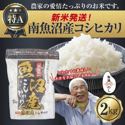 ふるさと納税 南魚沼市 無地のし 令和7年産 南魚沼産 コシヒカリ 2kg (美味しいお米の炊き方ガイド付き)
