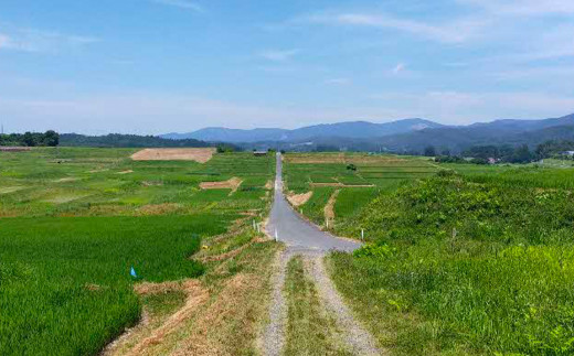 東和棚田のんびりRun（親子でショートの部）出場権（4.6km）1組様分 【1945】