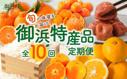 丸安青果の御浜町産特産品（全10回）【定期 定期便 10回 果物 フルーツ みかん 米 お米 梅干し 梅干 三重県 御浜町】
