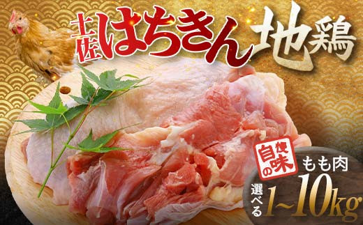 
                  【選べる容量】土佐はちきん地鶏 もも肉 1kg~10kg 地鶏 モモ肉 鶏肉 とり肉 とりにく 肉 高知県 大川村 F6R-002var
                