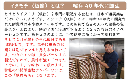 訳ありイタモチ（越後もち）2枚セット　創業明治17年　渡英商店　謹製