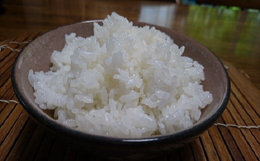 【令和7年産米】新潟県村上市産　新之助・朝日あいじょう米スティックセット A4037 