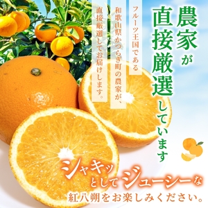 【先行予約】【数量わずか】あふれる果汁！ 希少な紅はっさく 秀品 5kg L～２L 2027年2月初旬〜2027年3月中旬頃に順次発送予定（お届け日指定不可）/ ハッサク 八朔 紅八朔 紅はっさく フ