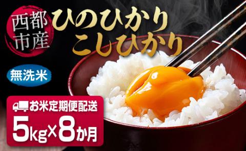 【8ヶ月定期便】宮崎県産ヒノヒカリ無洗米　5kg×8回　令和5年1月発送開始<6-10>