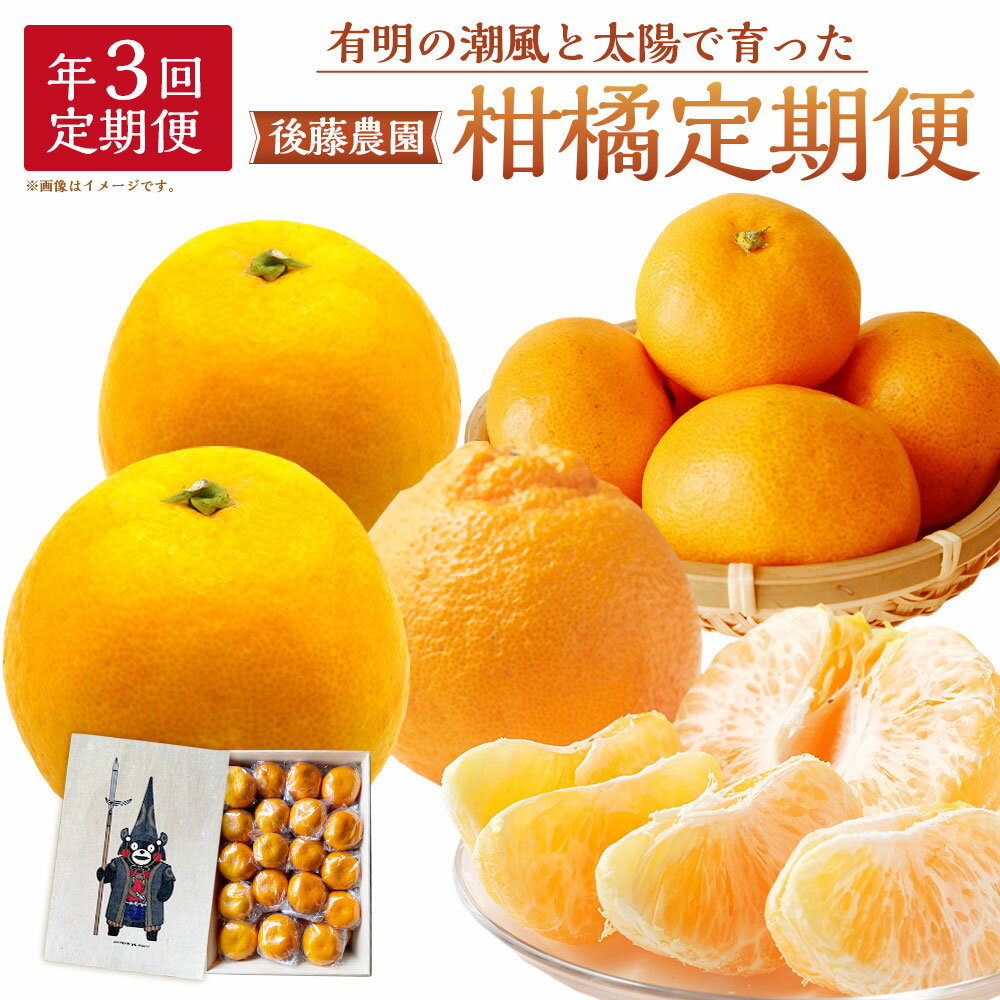 【ふるさと納税】～有明の潮風と太陽で育った～【年3回定期便】くまモン木箱入り！後藤農園の柑橘定期便 みかん 蜜柑 晩柑 不知火 柑橘 フルーツ 果物 ギフト 贈答 贈答用 贈り物 九州 熊本県 送料無料