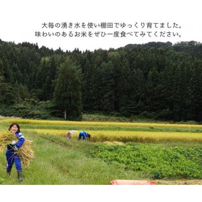 ふるさと納税 村上市 【新米受付・令和8年産米】精米　新潟県村上市産　コシヒカリ「大毎のめぐみ米」5kg　1093003N |  | 03