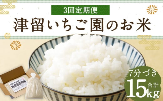 【3回定期便】 津留いちご園のお米 7分づき 農薬・化学肥料不使用（栽培期間中） 約5kg×3回 合計約15kg【2024年11月上旬発送開始】 ご飯 定期便 福岡県産 国産