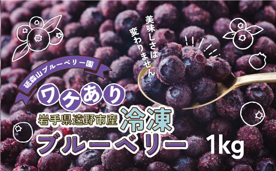 
            訳あり 冷凍 ブルーベリー 1kg 岩手県 遠野市 遠野食工房蔵 / 栽培期間中 農薬不使用 無農薬 除草剤不使用 砥森山ブルーベリー園
          