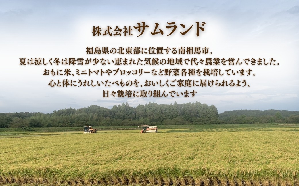 先行予約 コシヒカリ 白米 15㎏ (5㎏×3袋) ｜ 福島 福島県産 福島産 精米 令和7年産 【149448-001-03】
