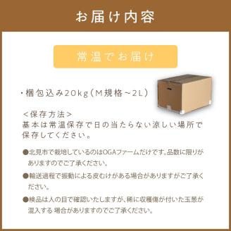 【予約：2024年11月上旬から順次発送】北見産玉ねぎ ケル玉 20kg ( 機能性玉葱 玉ねぎ たまねぎ タマネギ 玉葱 オニオン 野菜 北海道 長期貯蔵 )【133-0002-2024】