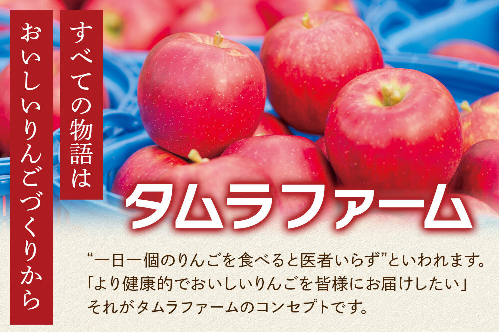 シードル タムラシードルセット TM-SD（SWEET・DRY 500ml×各1本 計2本） 青森県弘前市 タムラファーム [りんご リンゴ 林檎 アップル 弘前 セット ギフト 果実酒 果汁 発泡 