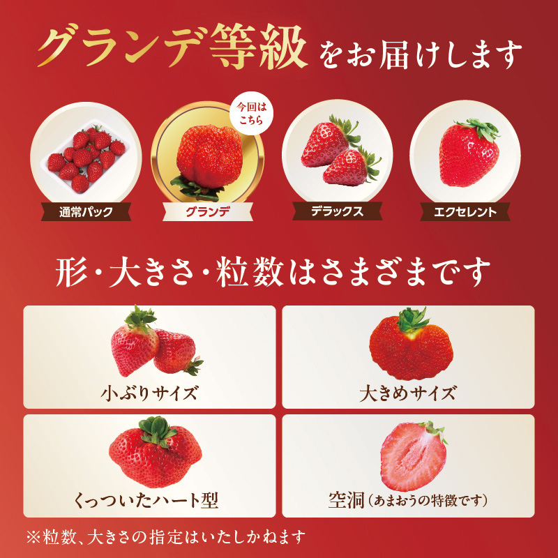 【先行受付：2026年2月発送開始】博多あまおうＧ270g×2パック｜ＪＡふくおか八女 あまおう いちご 苺 イチゴ フルーツ 果物 くだもの 人気  旬 福岡県産 大粒 アフター補償 数量限定 期間