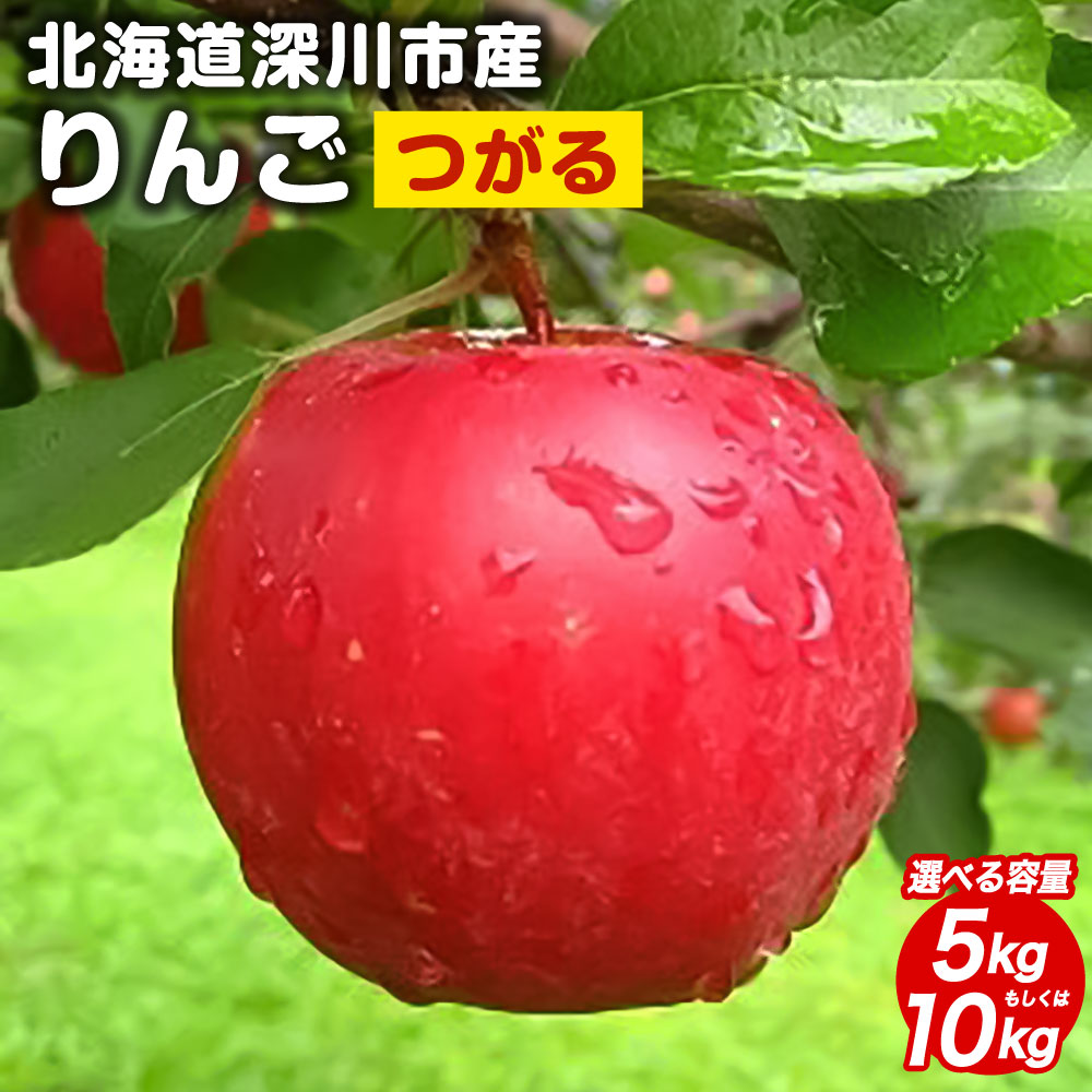 【ふるさと納税】＜令和7年産 先行受付＞ 北海道産 りんご つがる 5kg もしくは 10kg 1箱 リンゴ フルーツ 果物 深川市 特産品 産地直送 【2025年9月下旬～10月下旬 発送予定】