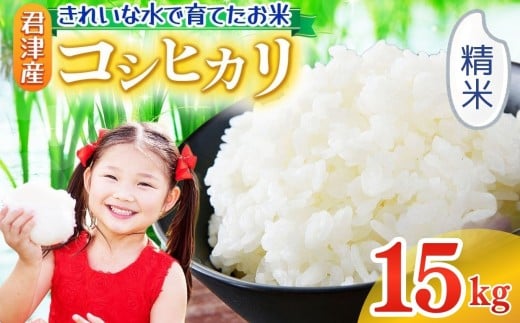 精米令和7年産 コシヒカリ 15kg 精米 きれいな水で育てたお米 2週間以内に発送 | 保坂農場 名水 おいしい水 ちばエコ農産物 おにぎり お弁当 君津市産 イチオシ 千葉 君津市 きみつ 房総