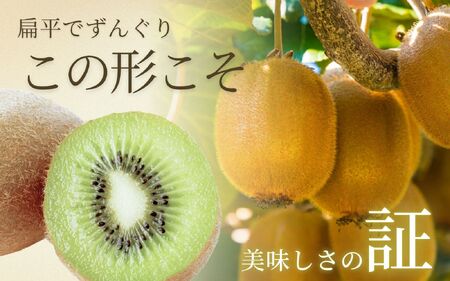 ＜11月より発送＞家庭用 キウイフルーツ5kg+250g（傷み補償分）【わけあり・訳あり・扁平果】/ フルーツ 果物 おすすめ きうい キウイフルーツ キウイ【ikd039D】 