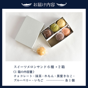 a15-453　スイーツ メロン パン 皮 サンド6種類×2箱 セット