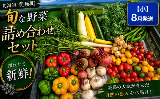 
                  野菜セット 【小】8月発送 あらいふぁーむ | 野菜定期便 野菜詰め合わせ 野菜セット 旬野菜 美瑛産野菜 無農薬 多品種野菜 北海道 美瑛 美瑛町 北海道産 美瑛産 8月 野菜 定期便 野菜 詰め合わせ 野菜 セット [017-74]
                