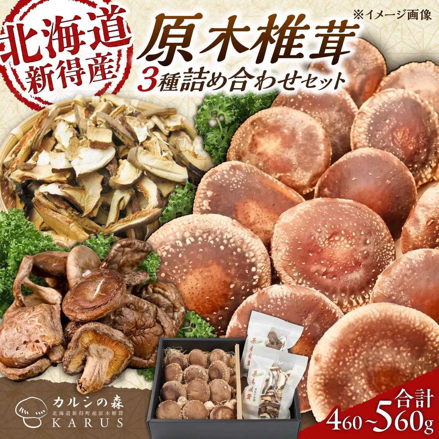原木椎茸 生･乾燥 詰め合わせセット 椎茸 しいたけ [BNAU001]