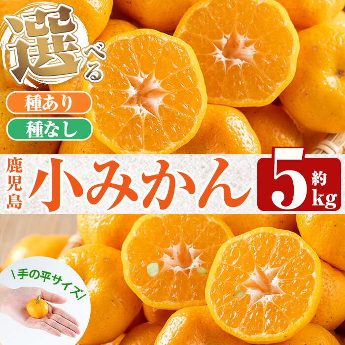 【ふるさと納税】《種なし・種ありが選べる！》＜数量限定！先行予約受付中＞鹿児島小みかん(約5kg) 果物 みかん ミカン 蜜柑 柑橘 フルーツ【福岡果樹園】