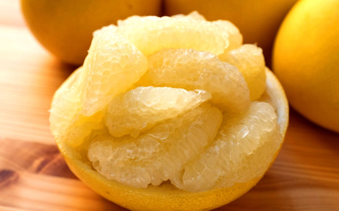 【先行予約】 千光士農園の土佐文旦 約5kg 家庭用 〈2026年2月中旬より発送〉 / 文旦 ぶんたん ブンタン 土佐文旦 柑橘 果物 フルーツ デザート 春 期間限定 季節限定 土佐 高知 【株式