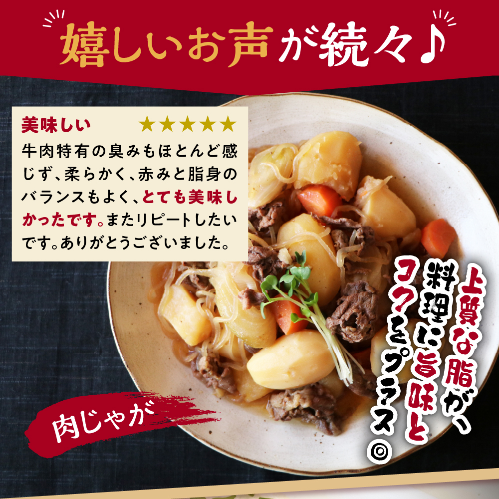 【 冷蔵 】 米沢牛 切落し 600g ( 300g × 2 ) 牛肉 和牛 ブランド牛