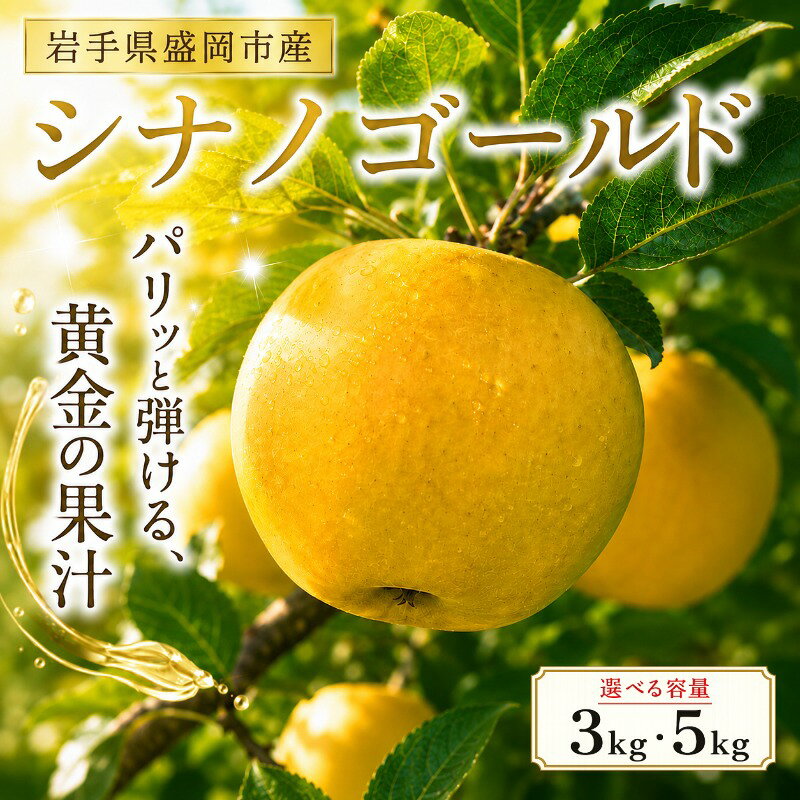 【ふるさと納税】 11月発送開始 シナノゴールド 選べる容量 3kg・5kg 完熟 フルーツ 果物 旬 旬のフルーツ 季節のフルーツ 贈答用 贈答 贈り物 プレゼント 林檎 りんご リンゴ 国産 産地直送 岩手県 盛岡市 東北 岩手 盛岡 北田りんご園 盛岡りんご kitada020P