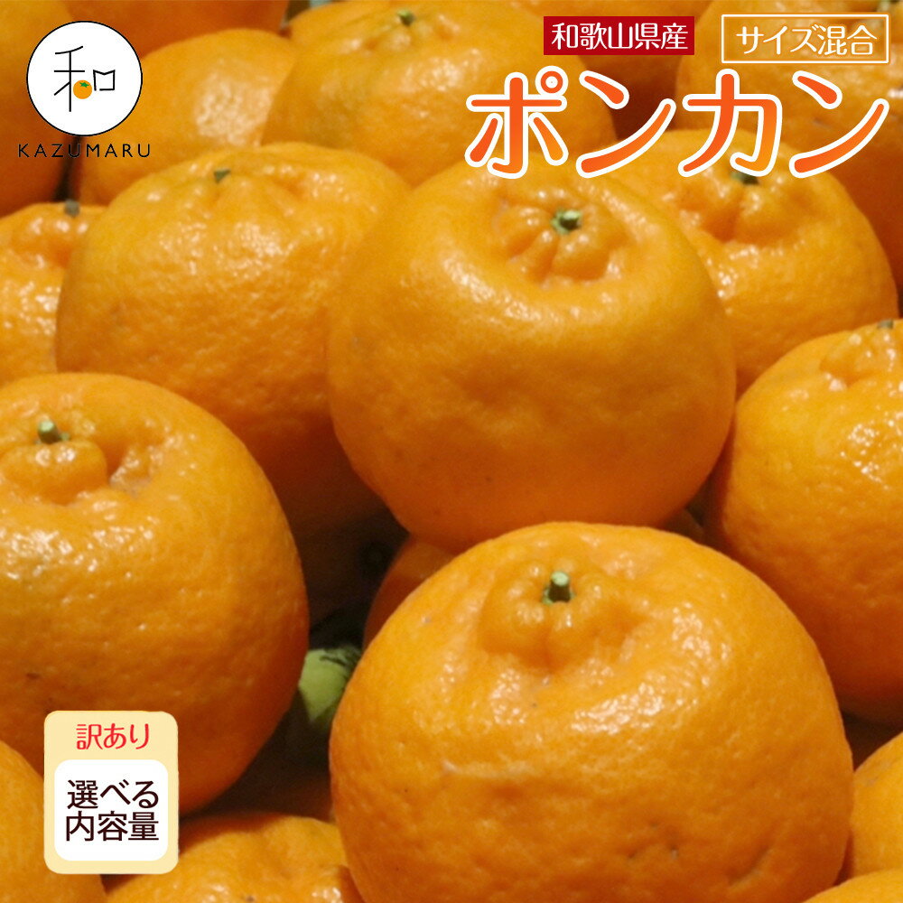 【ふるさと納税】【選べる容量】 先行予約 訳あり 森本農園の手選別 ポンカン2kg～10kg 和歌山県産 サイズ混合 ［北海道・沖縄・離島配送不可］ | みかん 蜜柑 フルーツ 果物 くだもの 食品 人気 おすすめ 送料無料