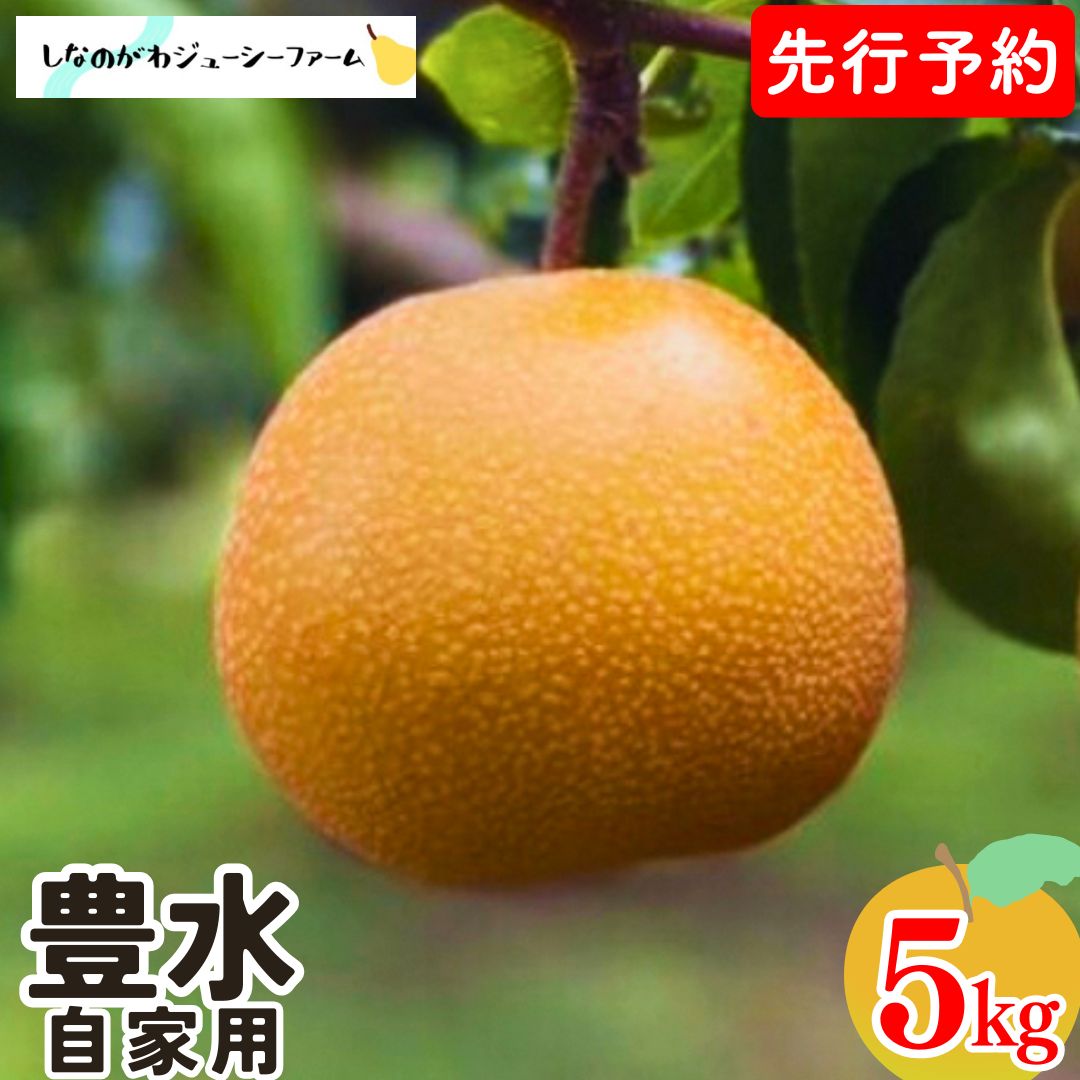 【ふるさと納税】先行予約 和梨 豊水 自家用 約5kg 令和8年度 新潟県 三条市産 梨 [しなのがわジューシーファーム]【010S481】