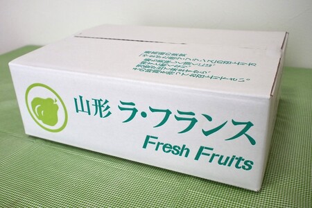 【定期便：全２回】ラ・フランス　３ｋｇ　ご家庭用を２回お届け　0037-2602
