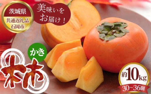 No.307 【先行予約】柿　約10kg（30～36個）【茨城県共通返礼品 石岡市】 ／ 旬 新鮮 かき カキ 果物 フルーツ 茨城県 特産品