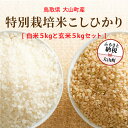 【ふるさと納税】MR-15 減農薬・減化学肥料　特別栽培米こしひかり「白米」と「玄米」のセット10kg（各5kg　計10kg） 米 料理用 家庭用 鳥取県 鳥取県産 大山町 大山 大入り 料理 国産 鳥取 コシヒカリ こしひかり 大山産