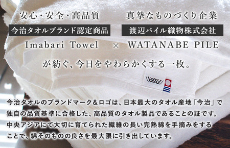 （今治タオルブランド認定）しっかりサマルカンドフェイスタオル 1枚  オフホワイト 今治タオル ふっくら フェイスタオル [IA05290FT1OW]