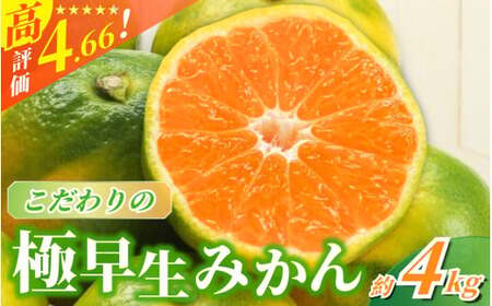【2026年9月下旬~発送】極早生みかん【農家直送】こだわりの極早生みかん 約4kg【数量限定】 有機質肥料100% サイズ混合 ※2026年9月下旬より順次発送予定（お届け日指定不可） / 早生みかん みかん ミカン 有田みかん 温州みかん 柑橘 有田 和歌山 産地直送  くだもの 果物 フルーツ 柑橘類 和歌山 すさみ町【nuk171A】