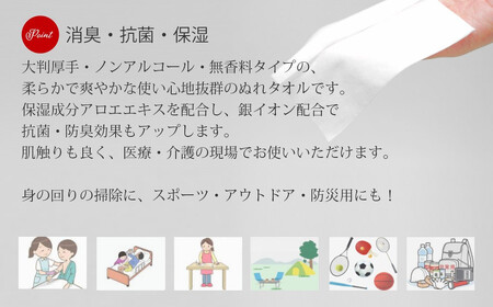 抗菌 消臭 保湿 ウェットタオル 大判（20cm×30cm）厚手 さわやかたおるちゃん （32枚入×30個）  合計960枚 介護 清掃 国産 アルコールフリー 無香料【SPC】