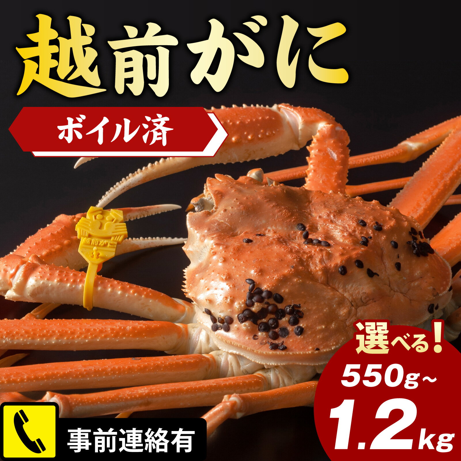 【ふるさと納税】【先行予約】越前港より直送！ 越前がに 【選べる配送月・大きさ・個数】※発送前に在宅確認の電話連絡をいたします! / 雄 ズワイガニ ずわいがに かに 越前ガニ ボイル 冷蔵 ご自宅用 海鮮 鍋 しゃぶしゃぶ 国産 南越前町 送料無料