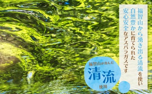【訳あり】清流・自然栽培 アスパラガス(夏芽) 1kg