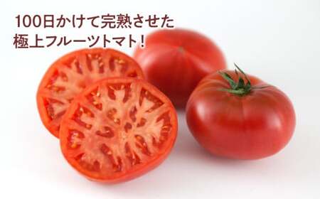先行予約 お徳用 フルーツトマト1.2kg トマト [BQAG008]