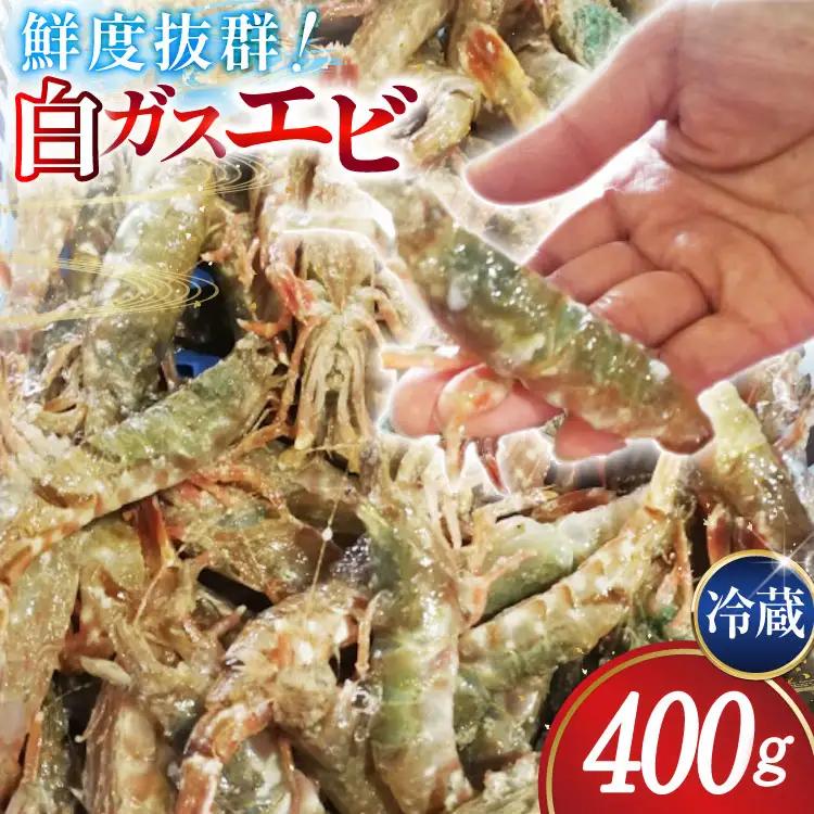 【期間限定発送】 極上激甘！白ガスエビ 冷蔵 400g