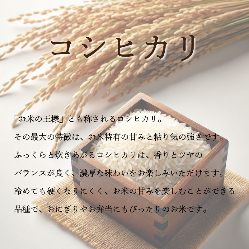 定期便 3回 米 コシヒカリ 5kg 令和8年産 米 こめ ご飯 ごはん おにぎり 白米 精米 卵かけご飯 食品 ギフト 贈答 プレゼント お取り寄せ グルメ 送料無料 徳島県 阿波市 栗栖農園