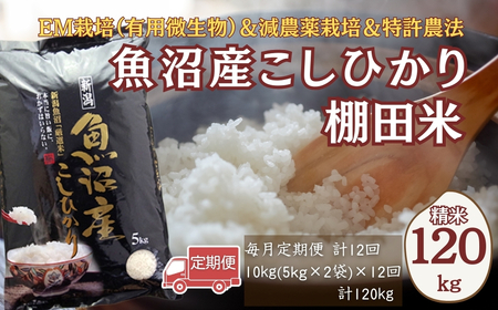【令和7年 定期便】魚沼産コシヒカリ 120kg (10キロ×12回) 佐藤農場 | 新潟県 おこめ コシヒカリ 小千谷