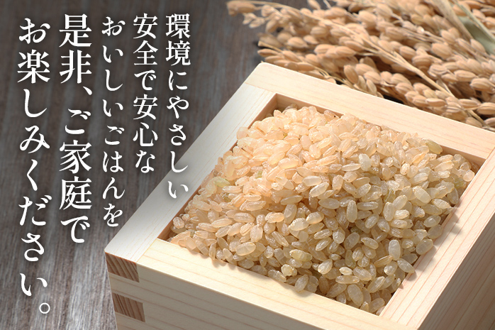 令和7年産 新米予約 合鴨米「ヒノヒカリ」（玄米・10kg）定期便12回コース　BI07　※2025年10月より順次出荷予定