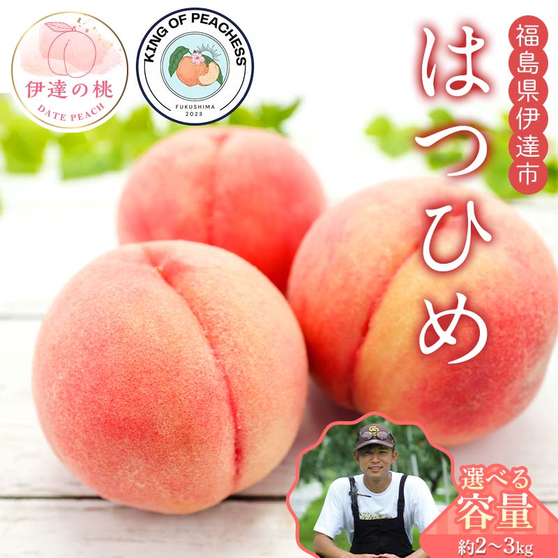 【ふるさと納税】＼容量が選べる／キングオブピーチ 桃 「はつひめ」約2kg～3kg はつひめ 伊達の桃 桃 もも モモ 果物 くだもの フルーツ 国産 食品 F21C-133var