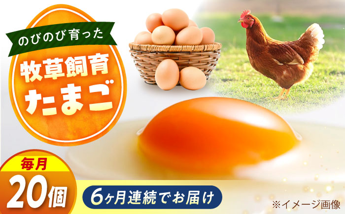 【全6回定期便】天心山 たまご 20個（10個入り×2パック） 卵 たまご 高級 食品 たまごかけご飯 卵かけご飯 卵焼き 生卵 濃厚 ケーキ お菓子 づくり ランキング 上位 人気 おすすめ 定期便　広島県福山市/天心山ファーム [BABW019]