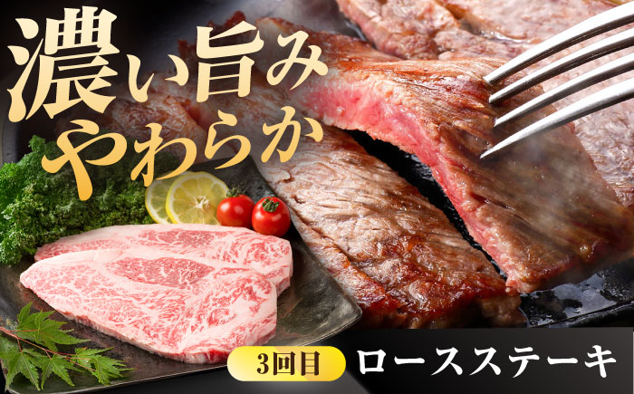 【肉のプロが厳選！】【全3回】佐賀牛 贅沢定期便【株式会社いろは精肉店】 [IAG074]