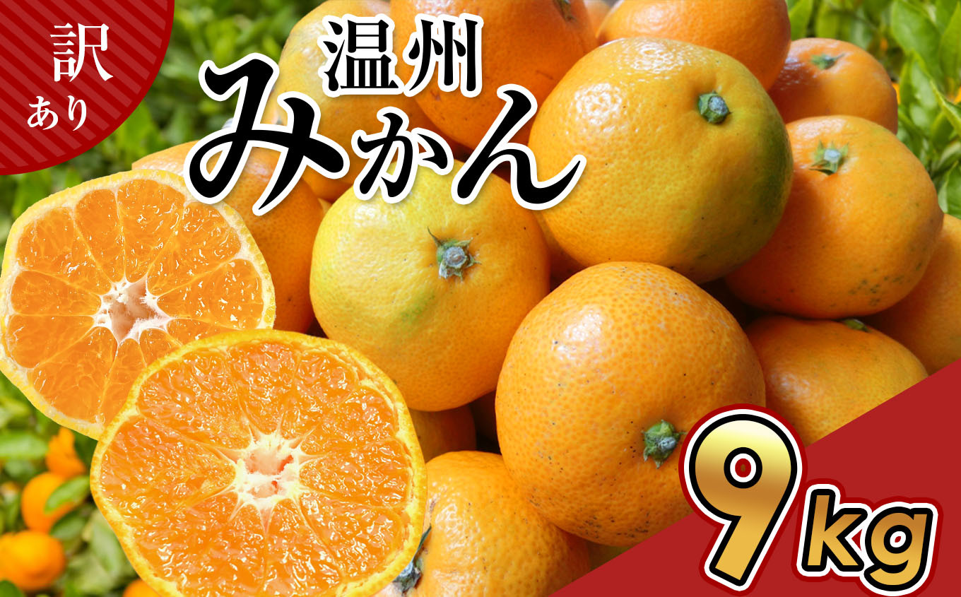 
            訳あり 温州 みかん 約 9kg 後藤農園 | フルーツ 果物 くだもの 柑橘 ミカン みかん 温州みかん 温州ミカン ご家庭用 家庭用 熊本県 玉名市
          