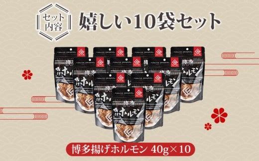 博多揚げホルモン　10袋